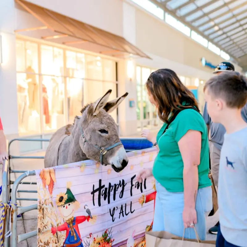 Tanger Outlets Christmas Event