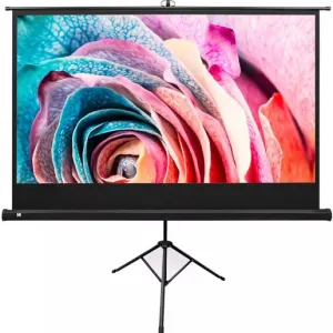Rental: 75″ Insignia Projector Screen