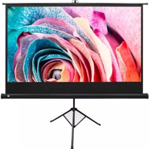 Rental: 75" Insignia Projector Screen